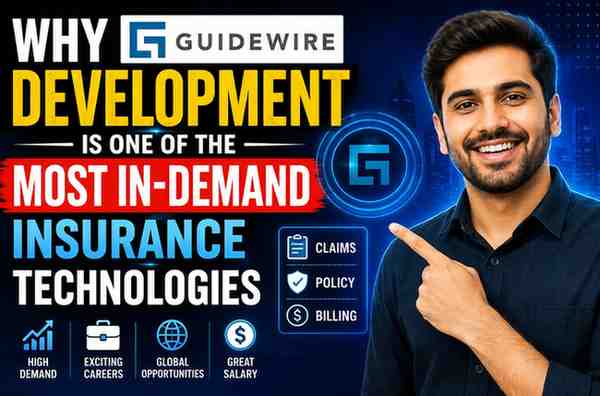 Guidewire development training